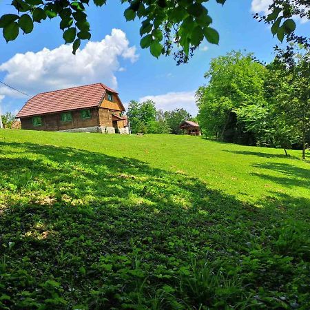 Villa Bakina Iza Duga Resa Esterno foto