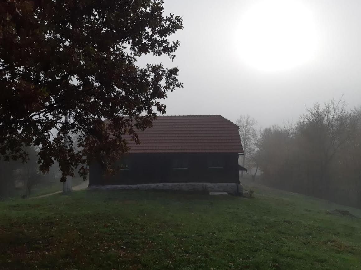 Villa Bakina Iza Duga Resa Esterno foto