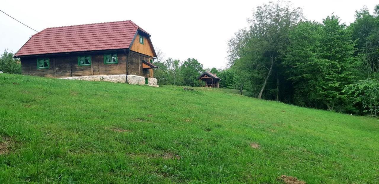 Villa Bakina Iza Duga Resa Esterno foto