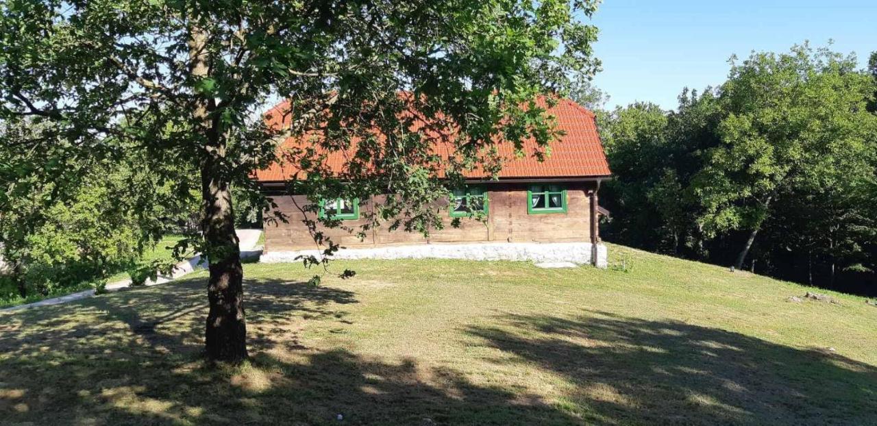 Villa Bakina Iza Duga Resa Esterno foto