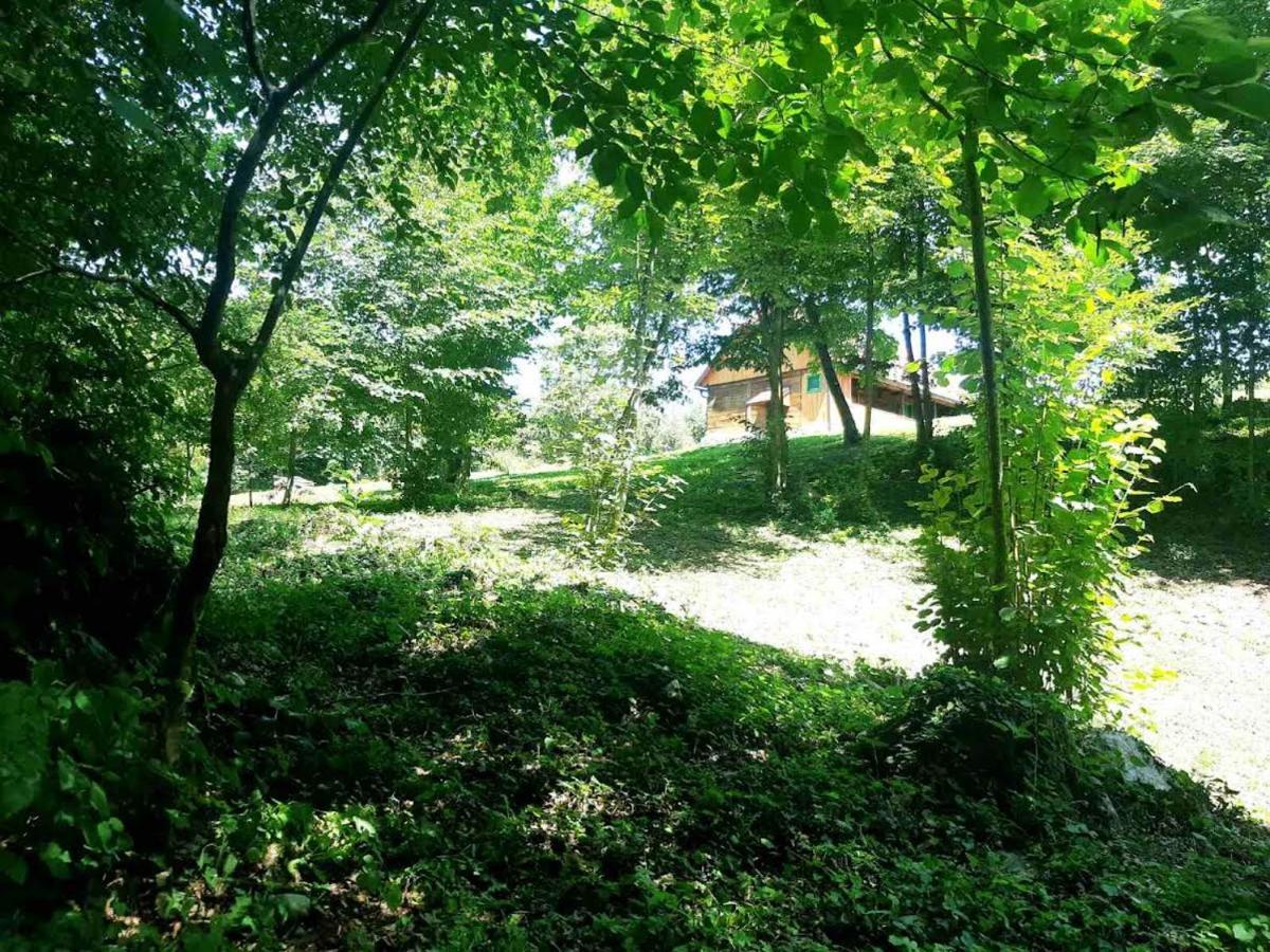 Villa Bakina Iza Duga Resa Esterno foto