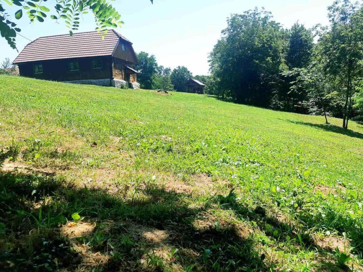 Villa Bakina Iza Duga Resa Esterno foto