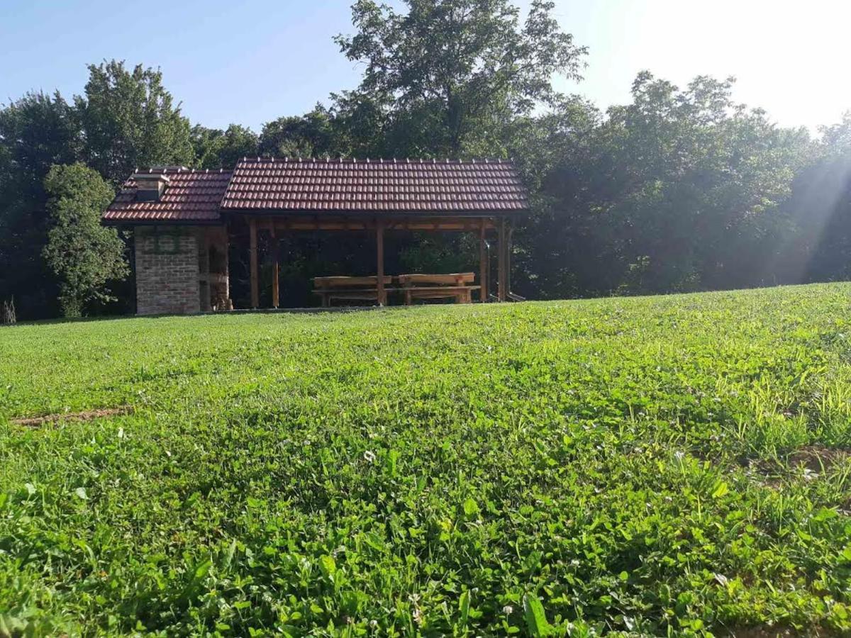 Villa Bakina Iza Duga Resa Esterno foto