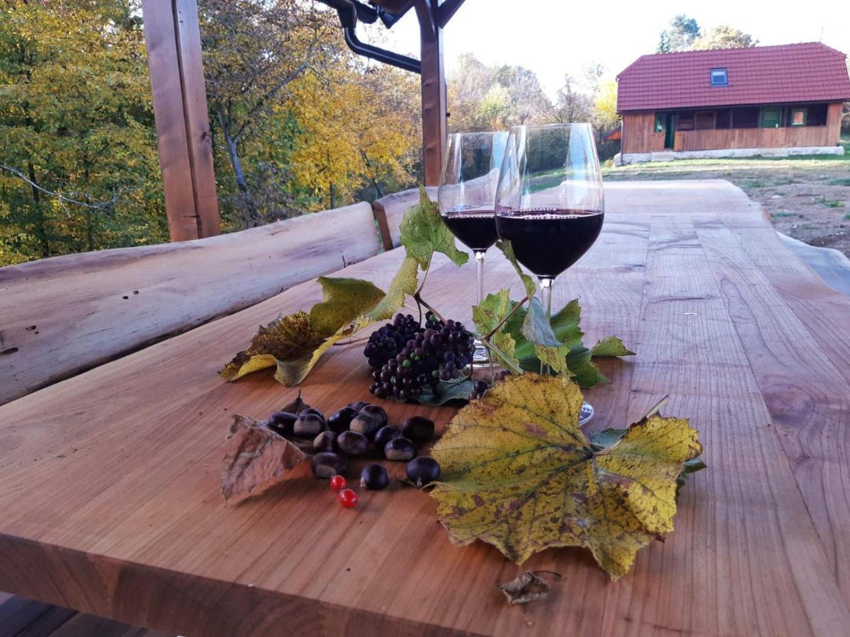 Villa Bakina Iza Duga Resa Esterno foto