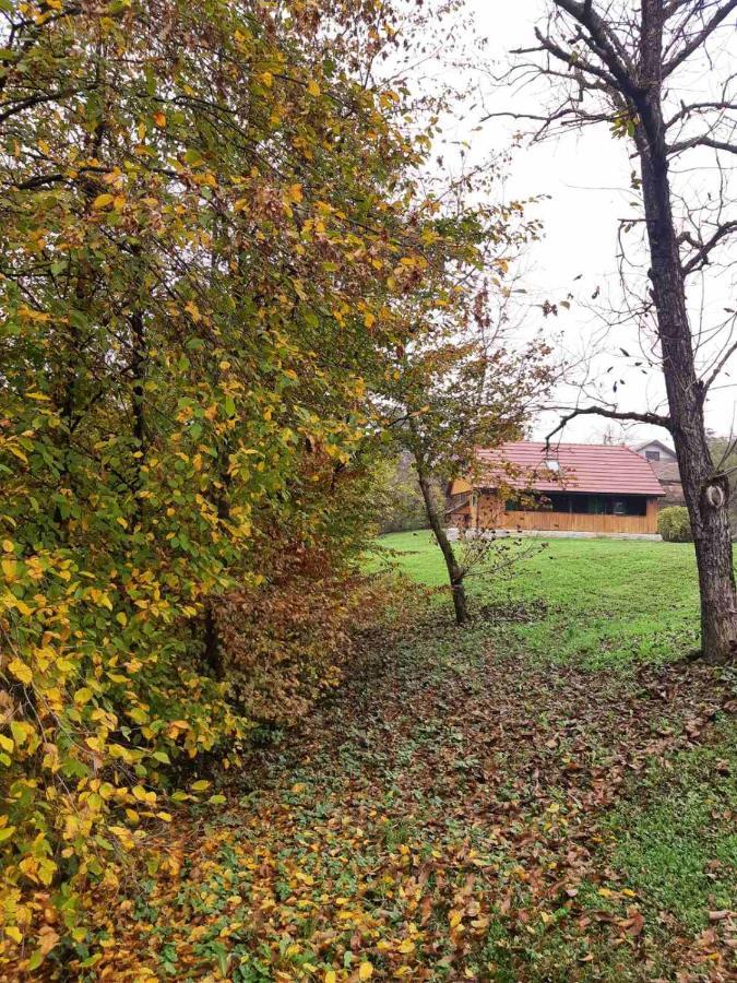 Villa Bakina Iza Duga Resa Esterno foto
