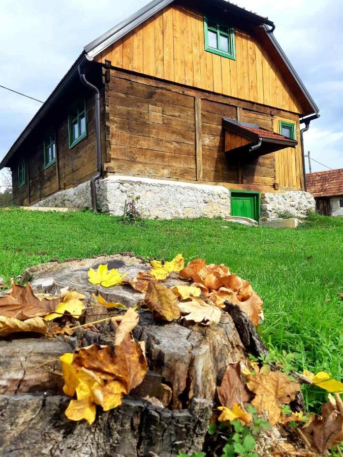 Villa Bakina Iza Duga Resa Esterno foto