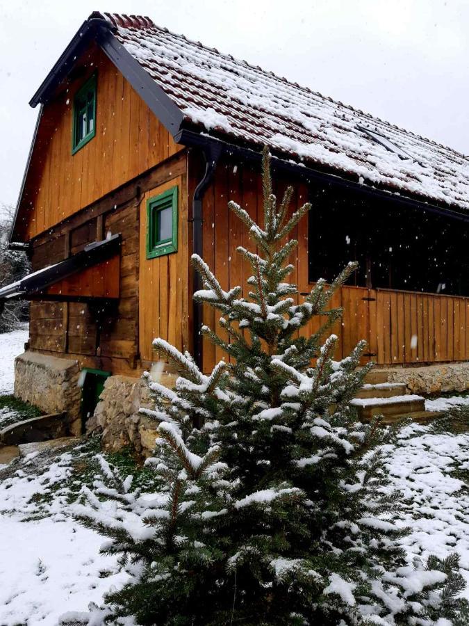 Villa Bakina Iza Duga Resa Esterno foto