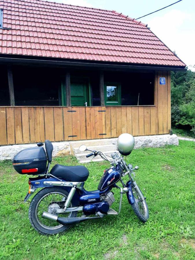 Villa Bakina Iza Duga Resa Esterno foto