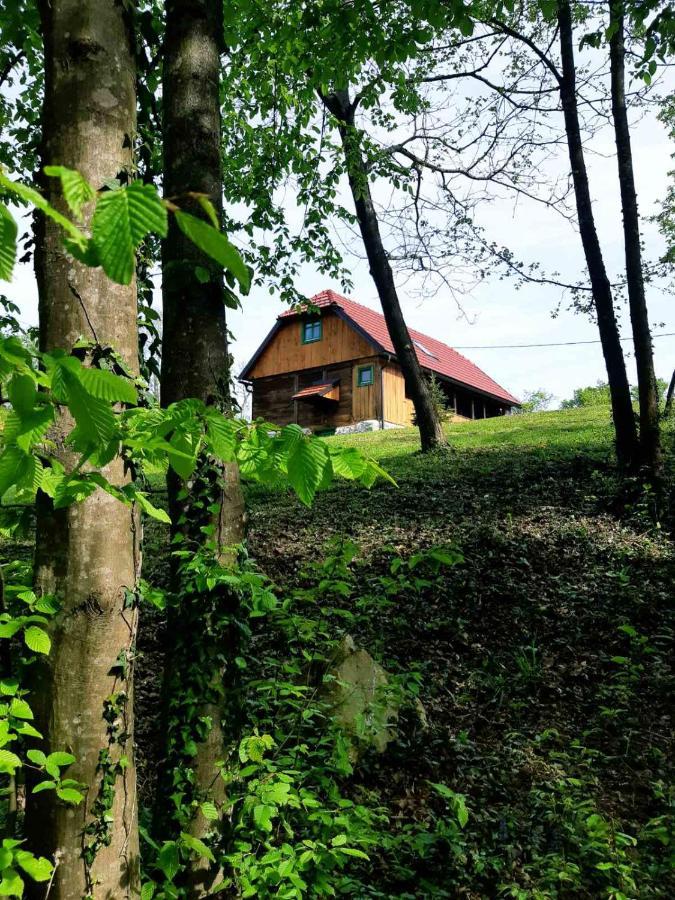 Villa Bakina Iza Duga Resa Esterno foto