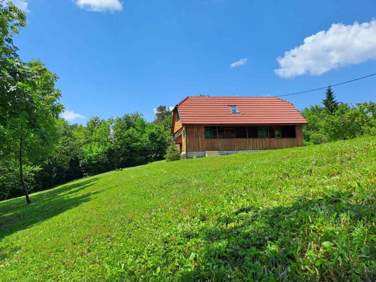 Villa Bakina Iza Duga Resa Esterno foto