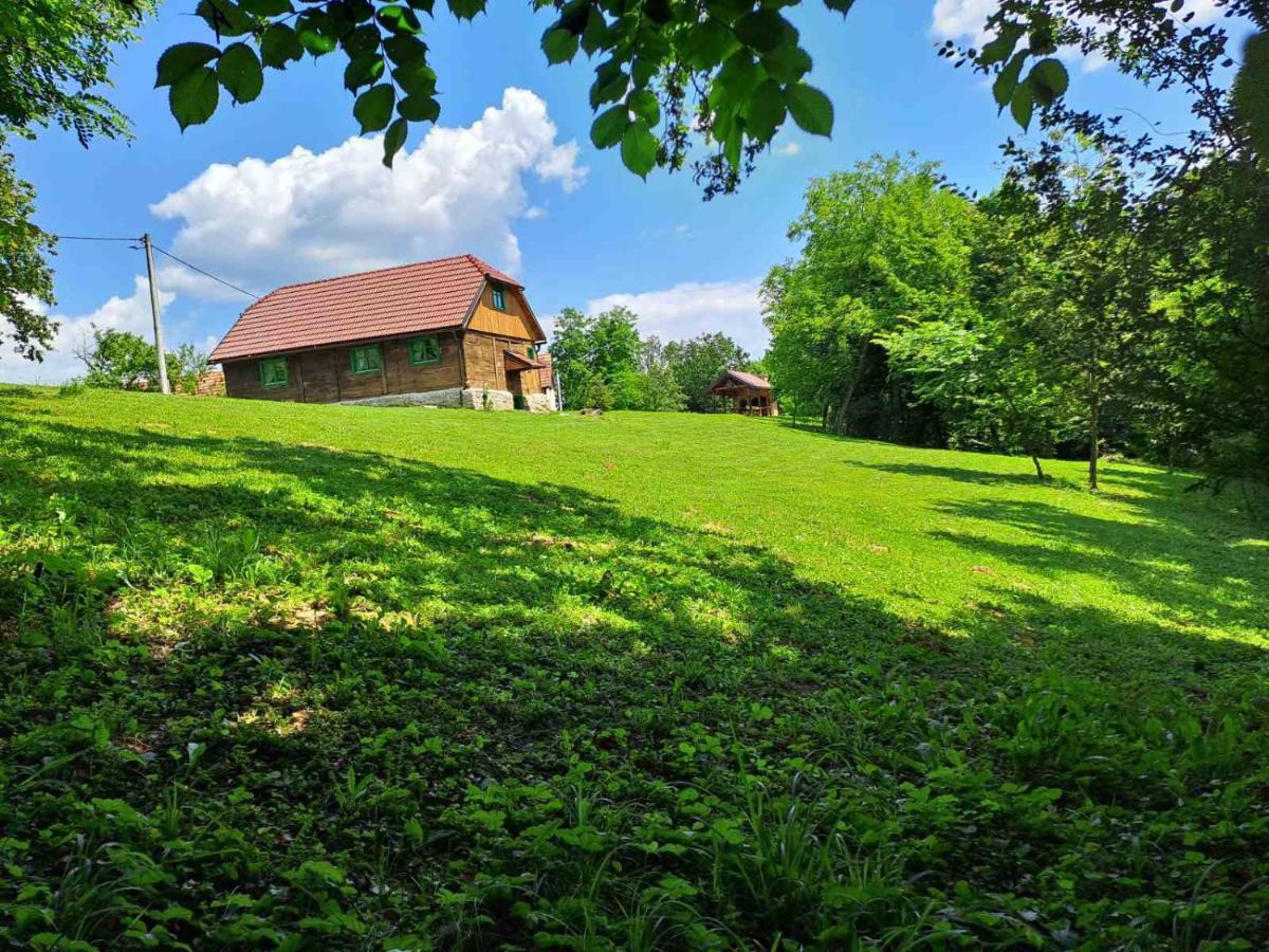 Villa Bakina Iza Duga Resa Esterno foto