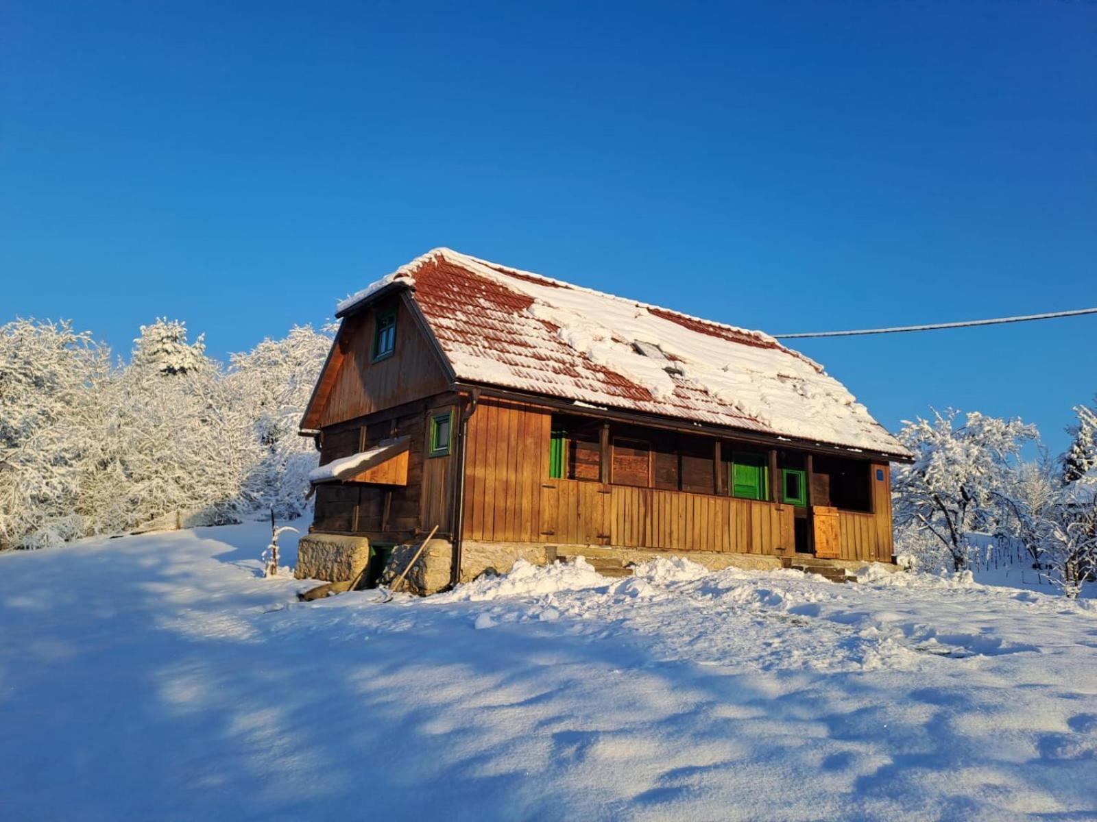 Villa Bakina Iza Duga Resa Esterno foto