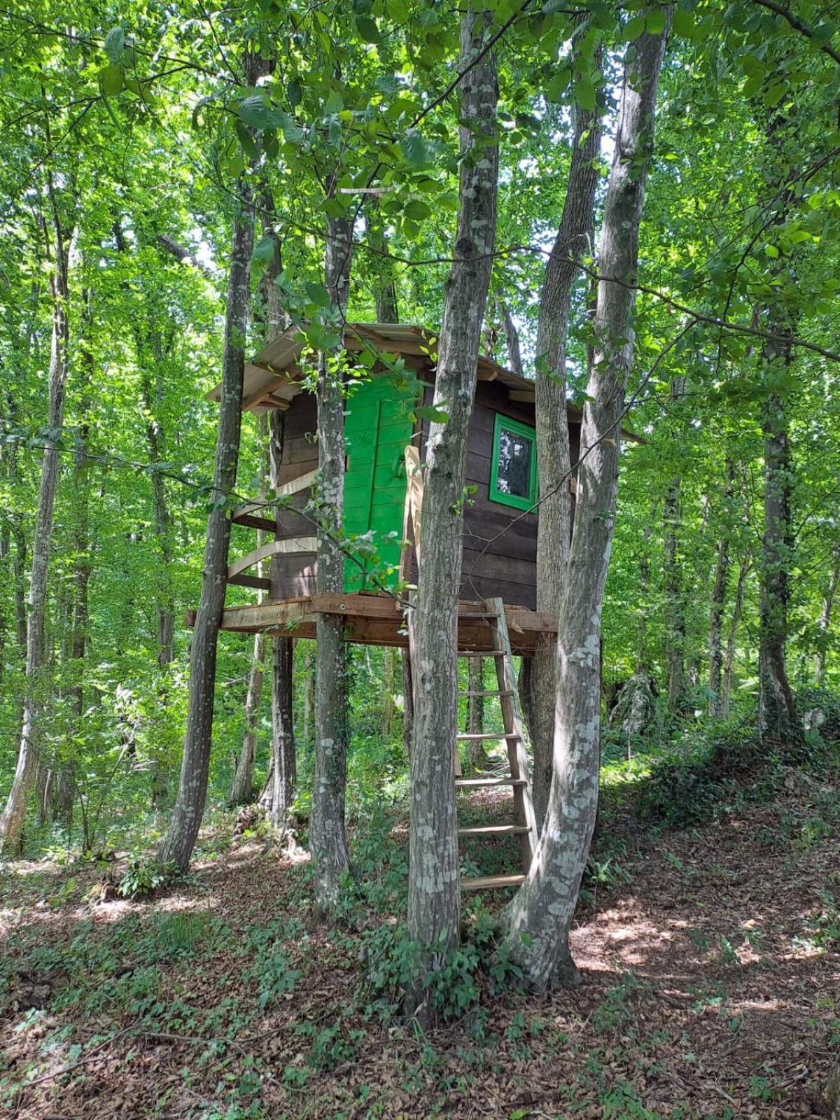 Villa Bakina Iza Duga Resa Esterno foto