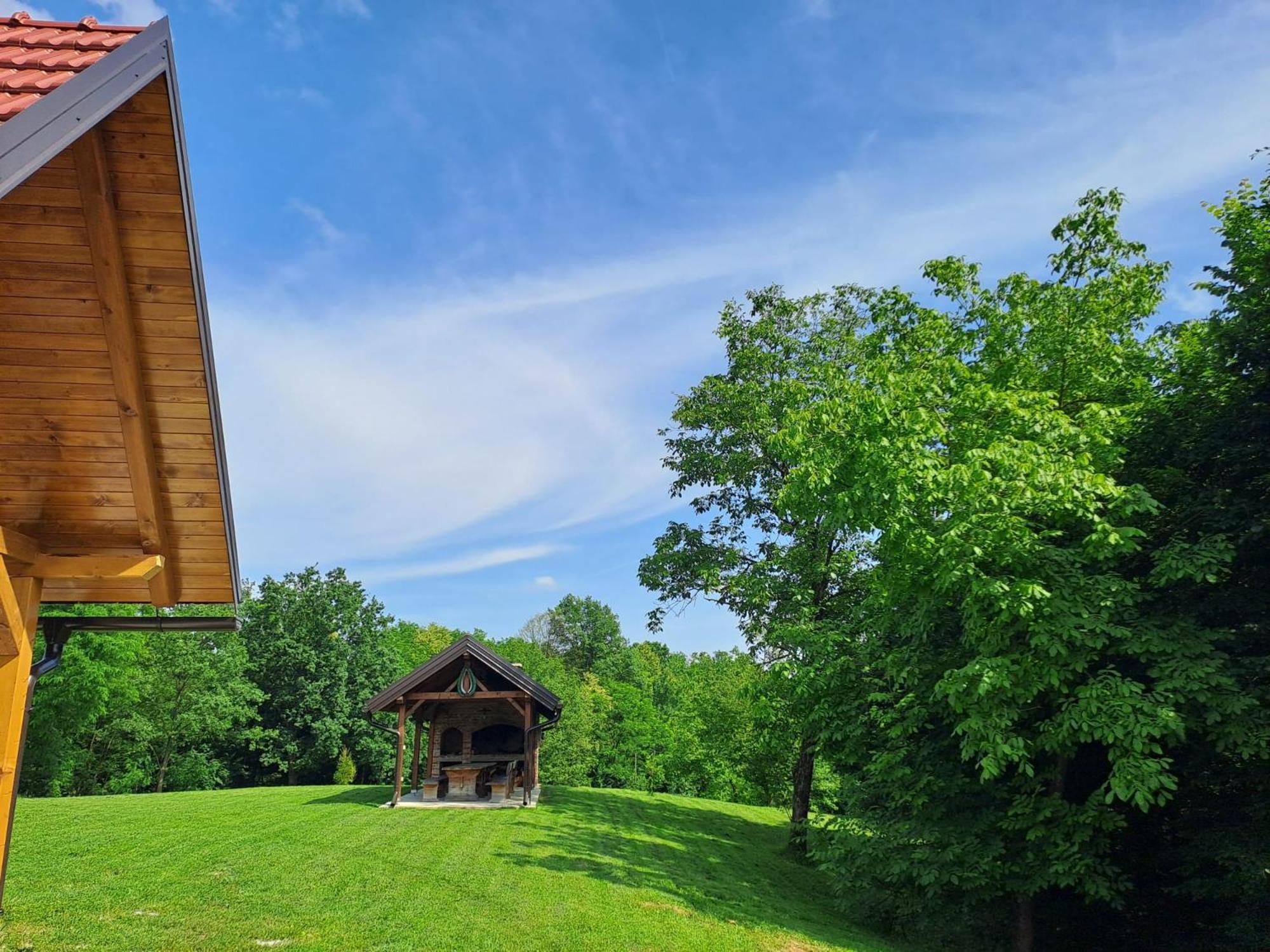 Villa Bakina Iza Duga Resa Esterno foto